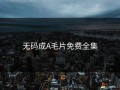无码成A毛片免费全集