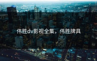 伟胜dv影视全集，伟胜牌具