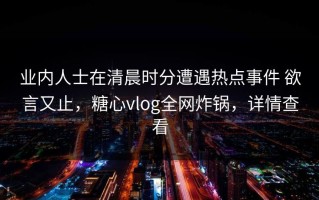 业内人士在清晨时分遭遇热点事件 欲言又止，糖心vlog全网炸锅，详情查看