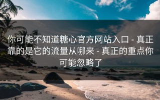 你可能不知道糖心官方网站入口 - 真正靠的是它的流量从哪来 - 真正的重点你可能忽略了