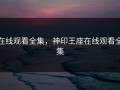 在线观看全集，神印王座在线观看全集