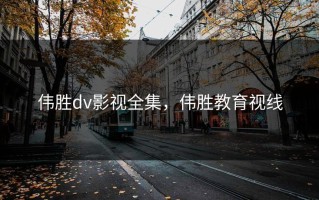 伟胜dv影视全集，伟胜教育视线